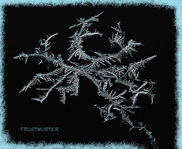 Frostmuster